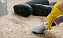 Area Rug Cleaning for an 6x8 or 8x10 Rug from Certified Carpet Cleaning (Up to 60% Off)