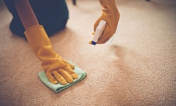 Organic Carpet or Mattress Cleaning from Organic Service Carpet Cleaning (Up to 58% Off). Six Options Available.