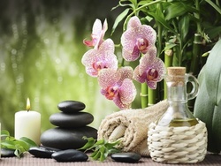 $450 for $900 Worth of Feng Shui Consulting — Psychic Awakening