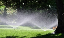 $85 for $175 Toward Irrigation Audit at Distinctive Landscaping