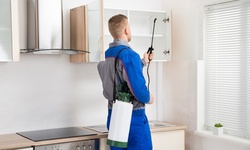 $9 Off $20 Worth of Home Mold Testing / Removal
