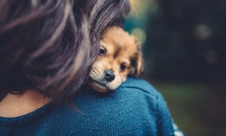 Basic Training for Puppies or Behavioral Correction Package at Doggy Instincts (Up to 59% Off)
