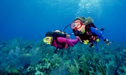 Four-Day Semi-Private PADI Open-Water Certification Course for One or Two at Pacific Wilderness (Up to 64% Off)