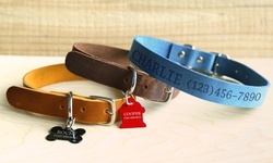 One or Two Personalized Dog Tags, One or Two Personalized Genuine Leather Pet Collars, or Both (65% Off) 