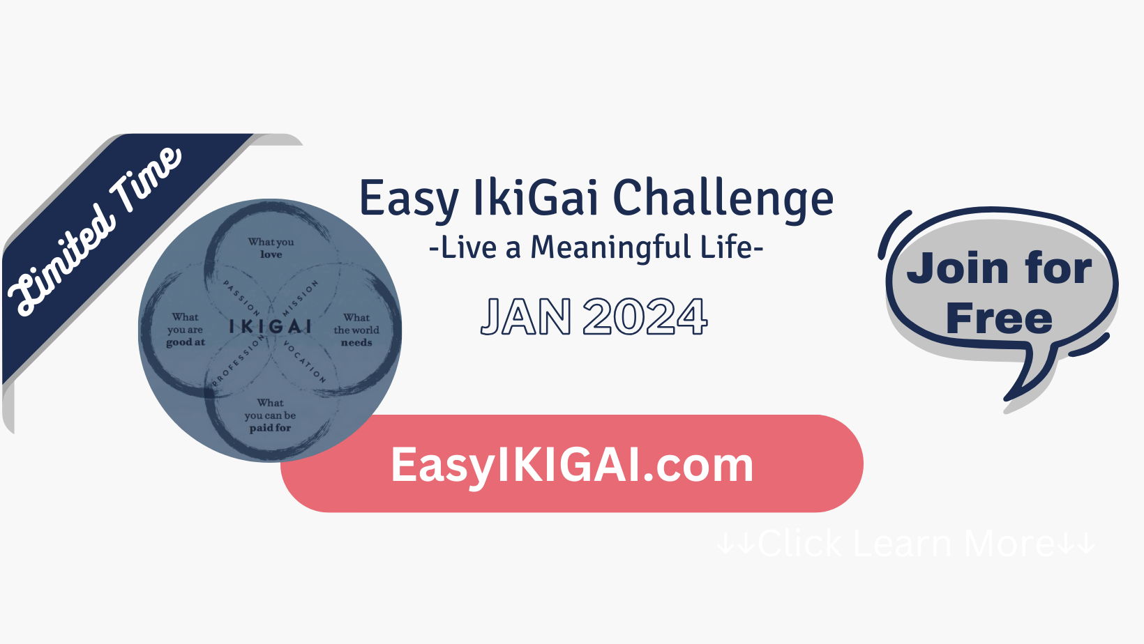 IKIGAI Challenge 2024