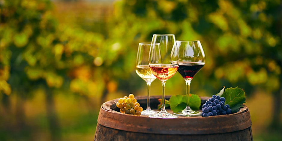 Complimentary Taste of Europe Wine Sampling
