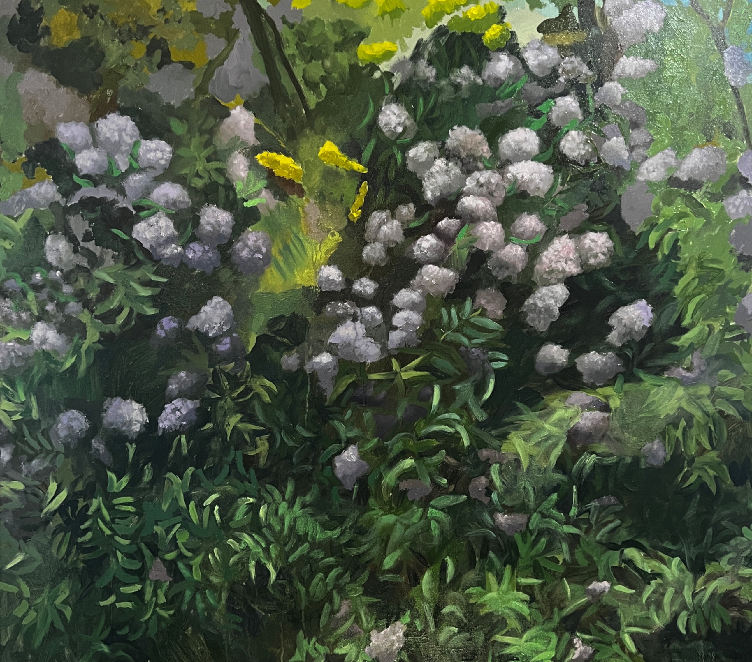 Zvezdana Stojmirovic (aka. Ana Stoy) with &ldquo;Tender Days (Zehr Fields)&rdquo; from the &ldquo;Renewal&rdquo; series.